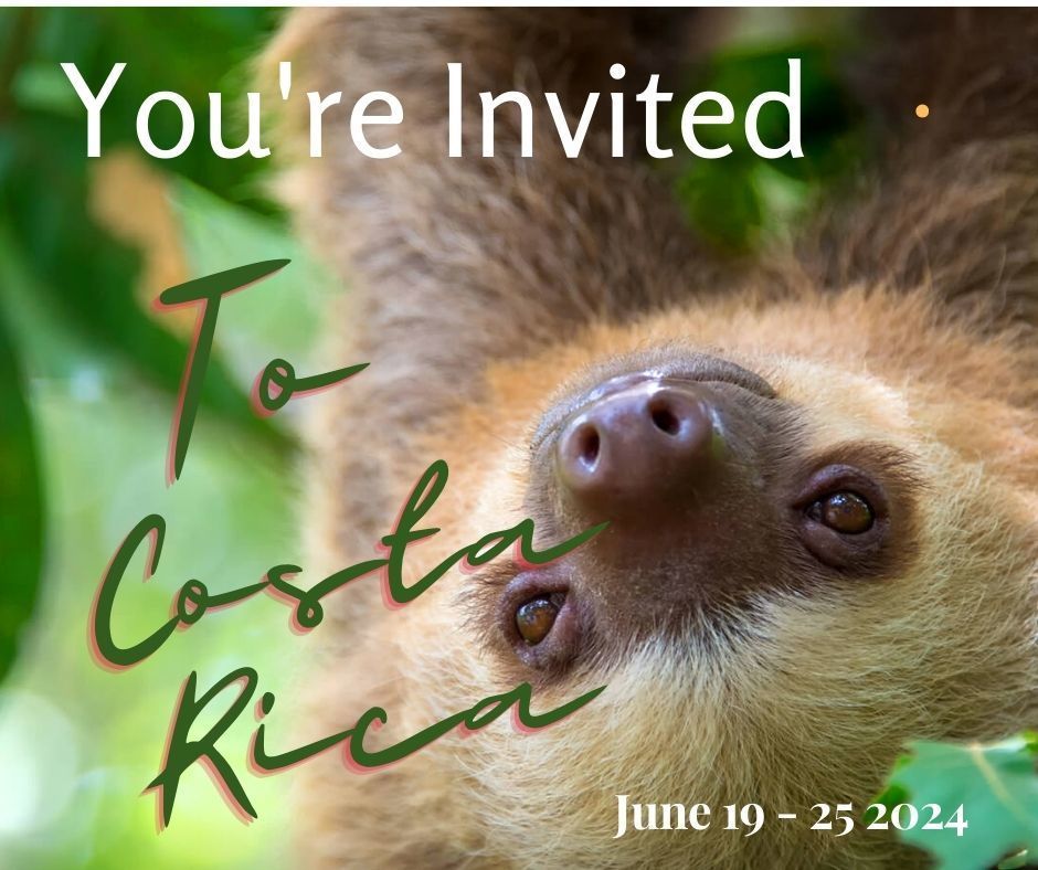 sloth with you're invited txt