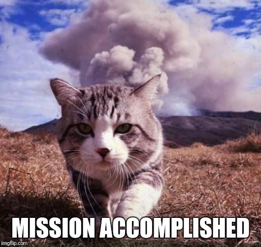 cat with missions accomplished txt