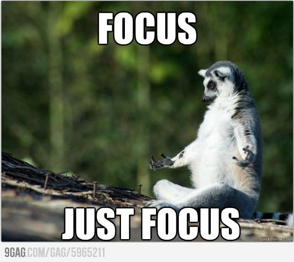 Lemur Just Focus